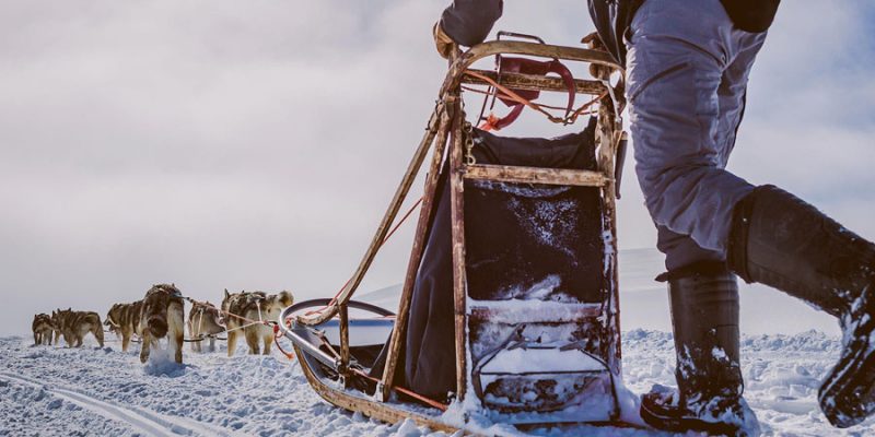 Mehrtägige Husky-Tour in Harriniva in Lappland