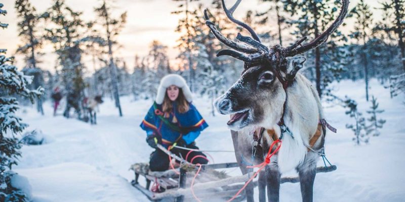 Sami Kultur in Lappland Rentier Schlitten im Winter
