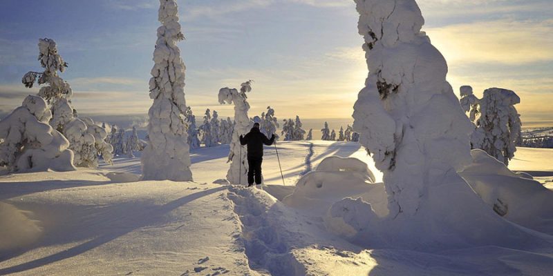 Langlauf Parkour in Äkäslompolo Lappland