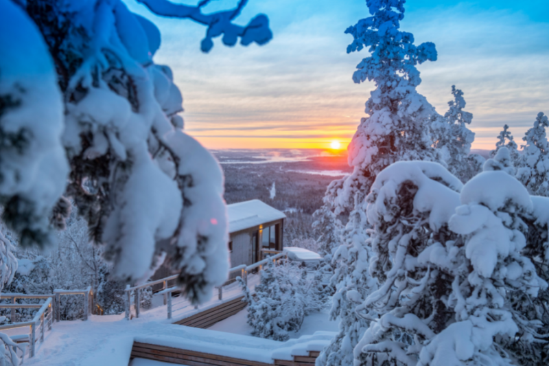 Lappland View Lodge unter verschneiten Bäumen