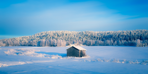 Im Winter nach Finnland reisen mit Nordic