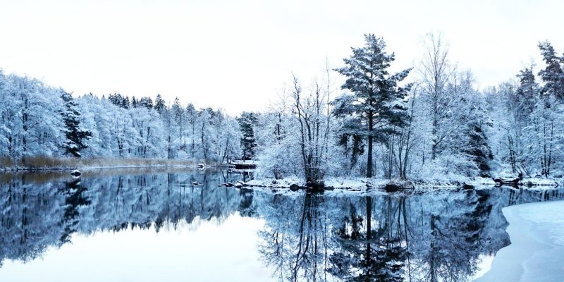 See im Winter in Schweden Reisen mit Nordic