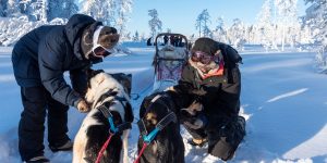 Mit Huskys kuscheln im Schnee in Lappland mit Nordic Henk Dujardin