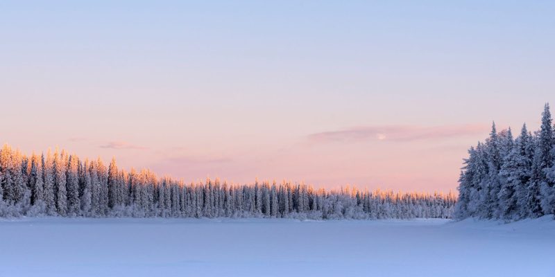 Sonne in Lappland im Winter mit Nordic Henk Dujardin