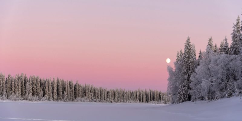Sonnenuntergang im winterlichen Lappland mit Nordic Henk Dujardin