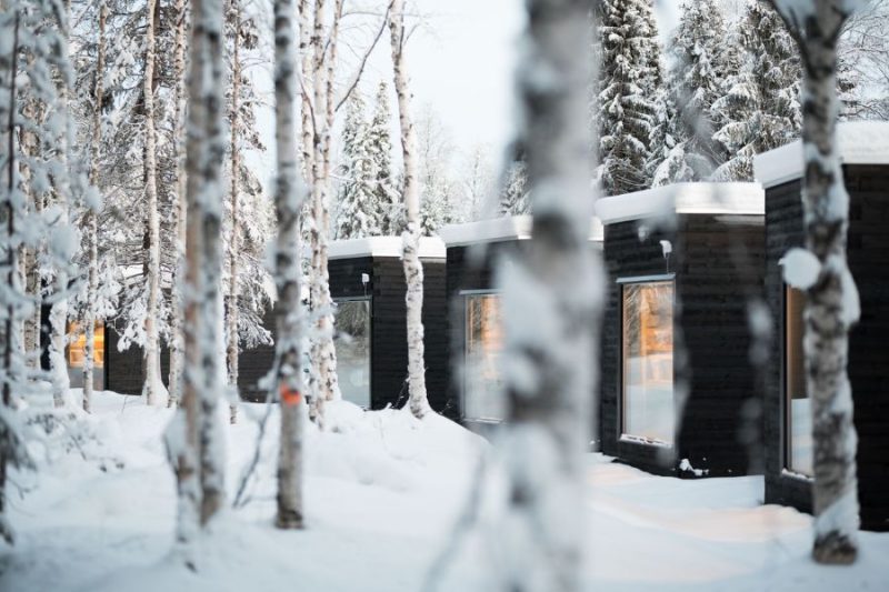 Panorama-Cabins-fuer-optimale-Chancen-auf-Nordlichter-Arctic-Circle-Wilderness-Resort-Nordic