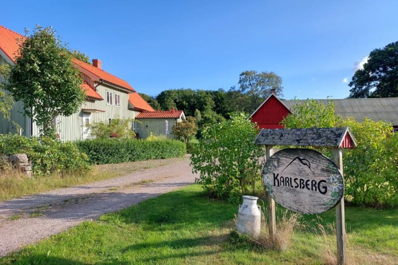 Ein-Bed-and-Breakfast-in-der-Natur-Schwedens