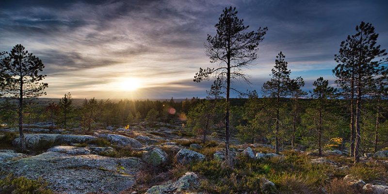 Norrland-Landschaft