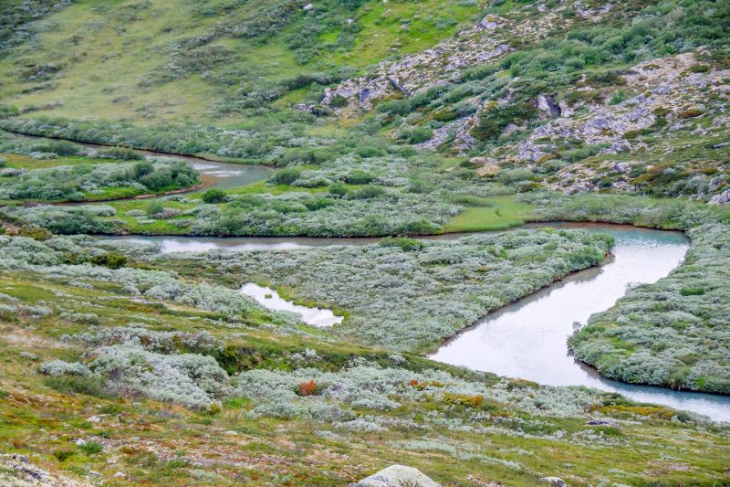 Dovrefjell-Sunndalsfjella-Nationalpark-in-Norwegen