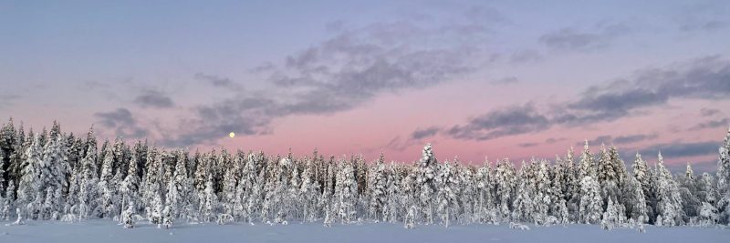 Aussicht-Schweedisch-Lappland-Reisen-mit-Nordic