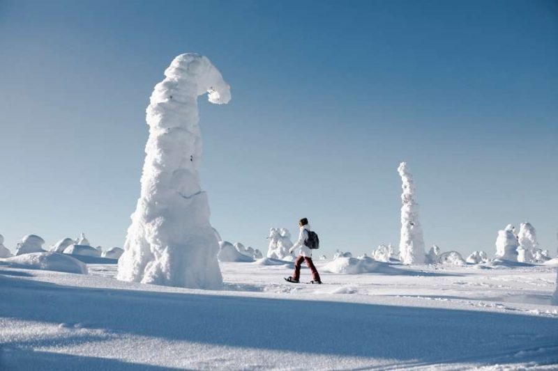 Winterwunderlandschaft-in-Lappland-mit-Nordic