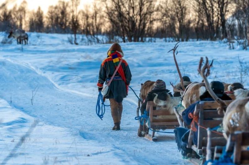 Mit-den-Rentieren-der-Sami-in-Finnisch-Lappland-unterwegs