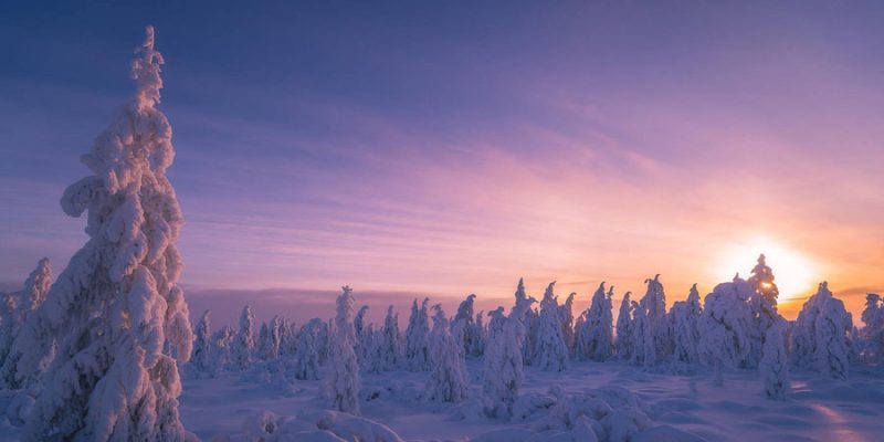 Bester-Reisezeitraum-fuer-Lappland-Winter