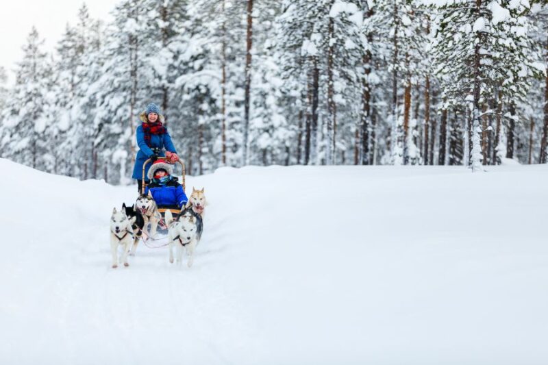 Fahrt-mit-den-Huskys-in-Lappland-im-Winter-Nordic--Nordic-Skandinavien-Spezialist