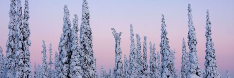 Nach-Lappland-im-Winter-reisen-Reise-Lappland-Winter-mit-Nordic-der-Skandinavien-Spezialist